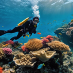 🌊【日本潛行】5大必去潛點！🏊‍♂️